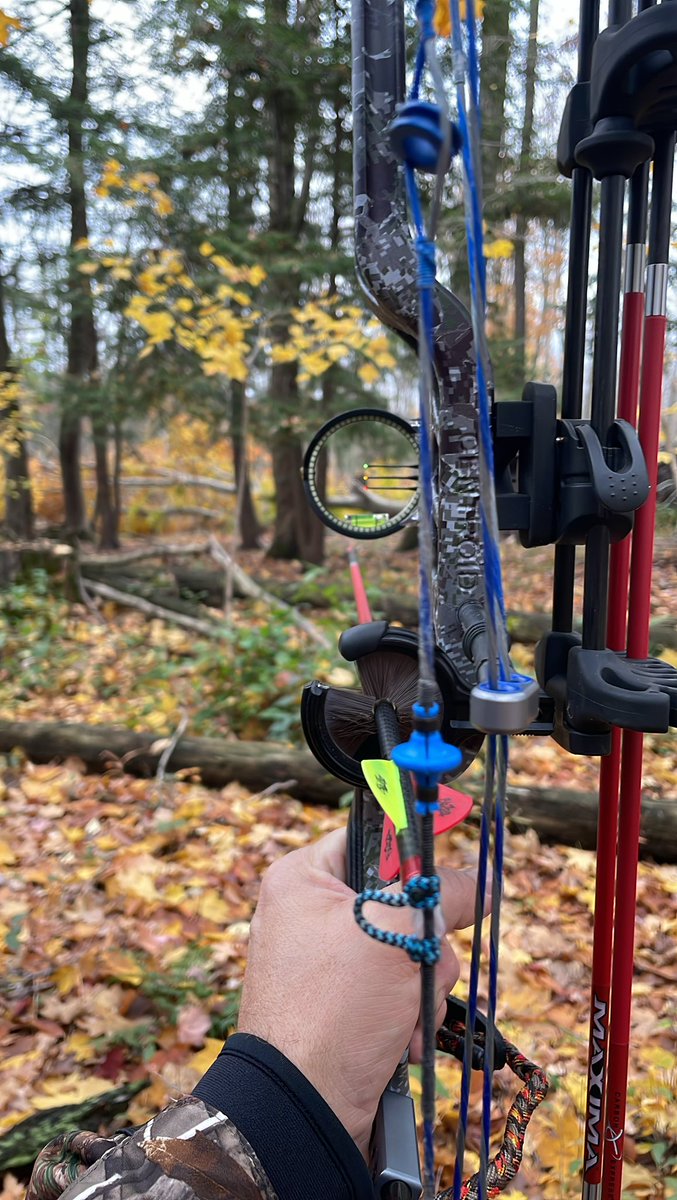 Beautiful night out in the woods deer hunting. #bowhunting #deerhunting #outdoors #hunting