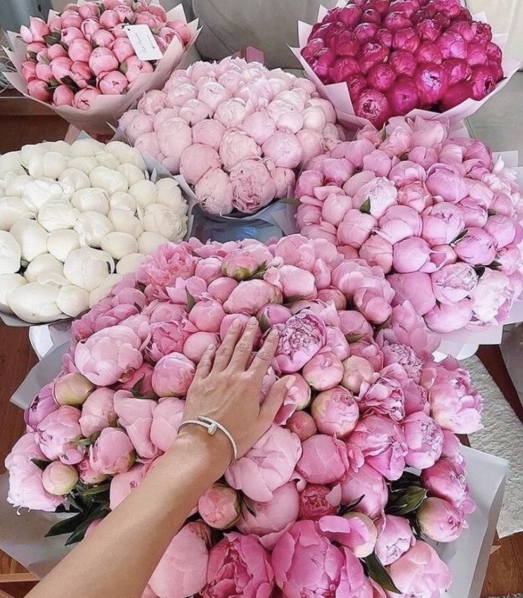 bottegalolita's tweet photo. Peonies https://t.co/hhVajrh74e