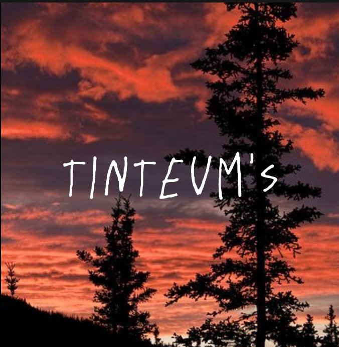 Tin_Teum 🐯 tweet media