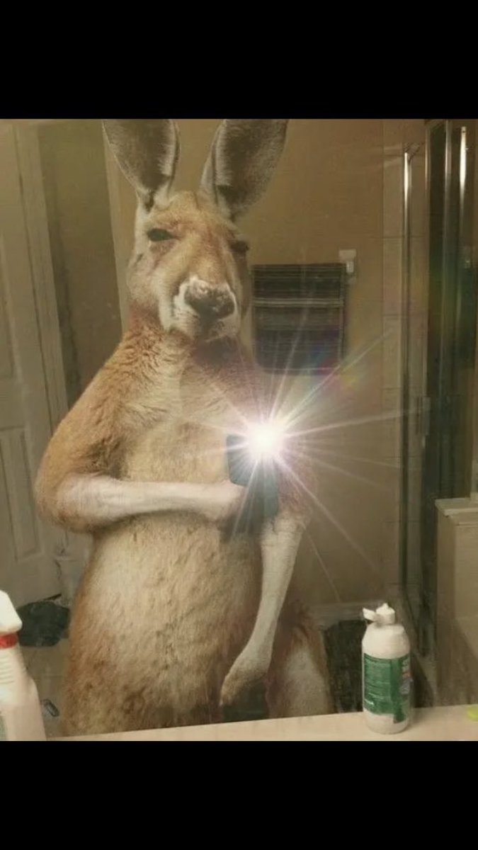 rodri (@rodri_ullmann) on Twitter photo 