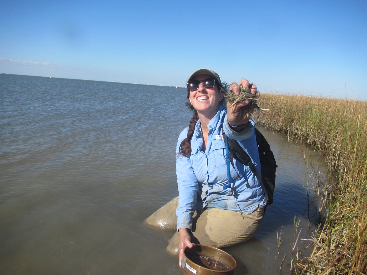 This has been a semester full of field work! Last week we went out to survey some restored sites in Galveston Bay with and without erosion-control structures to learn if they have any effects on the salt marsh and we headed to Anahuac National Wildlife Refuge