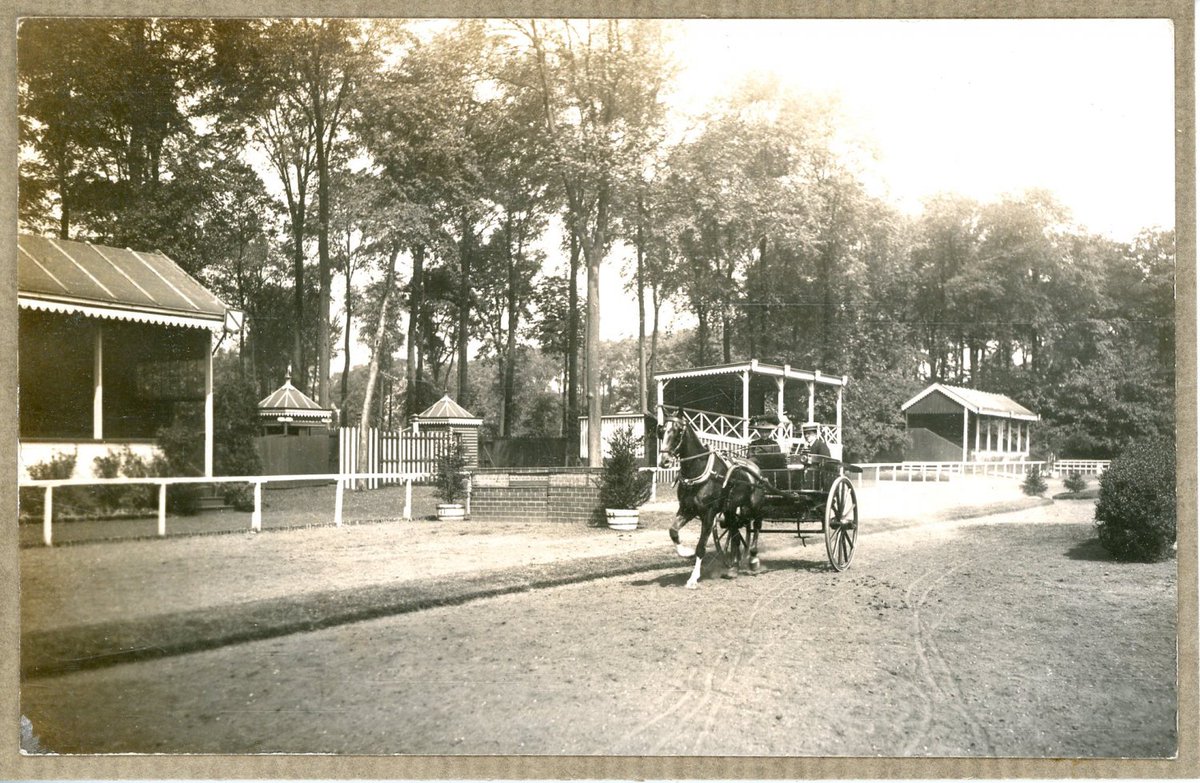 Tirage Argentique Vintage – Parcours Hippique, Attelage – 1913 – Format 9x14cm
