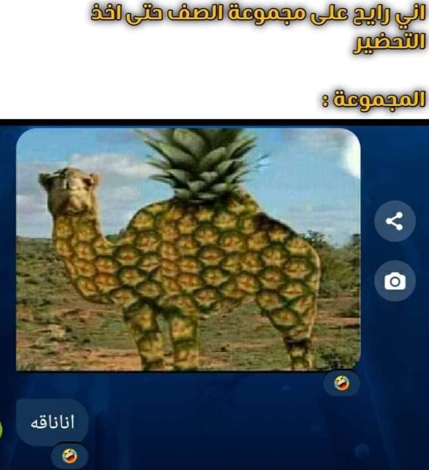 moh176g's tweet photo. #تفاهه 😂 https://t.co/02H3mX6ioG