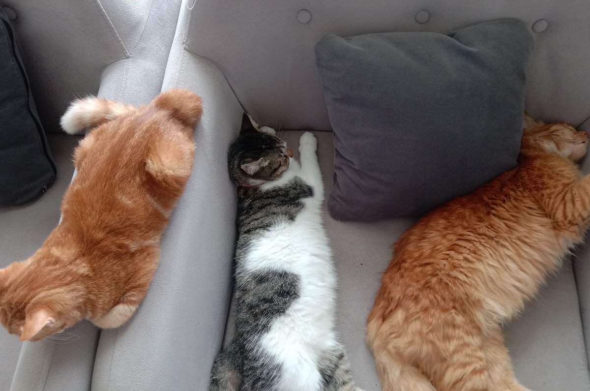 Ini pagi pagi udah pada nongkrong aja