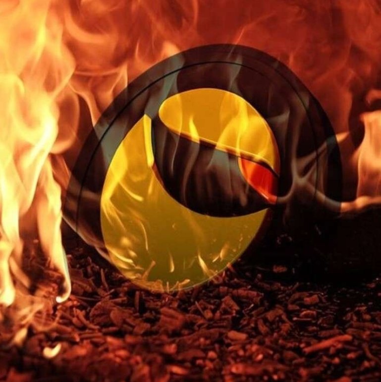 lunatic2023's tweet photo. #NieuweProfielfoto #lunc #lunatic #Lunatics #lunatics4life #LUNATICSTOKEN #Luncarmy #LUNCcommuntiy #LuncBurn #crypto #cryptocurrency #started #investing #tothemoon https://t.co/gotawgGRW0