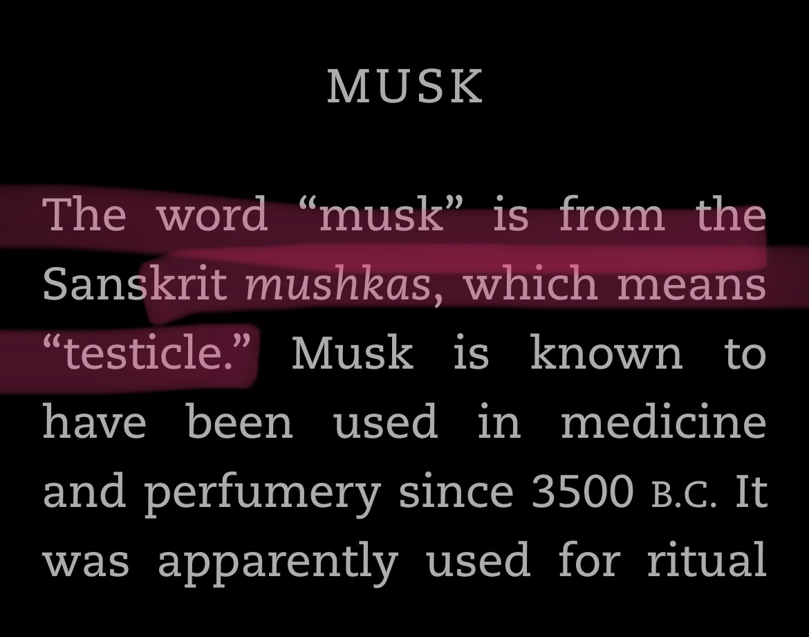 nominative determinism