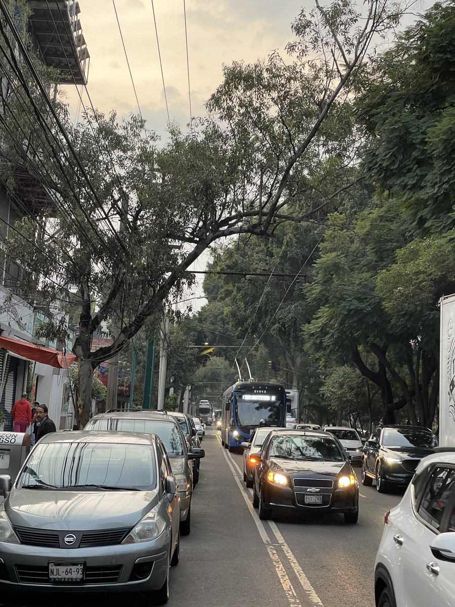luislzrg's tweet photo. Autos estacionados sobre avenida principal, Miguel Ángel de Quevedo, desde Alfa hasta Calle Tres Cruces por lo menos. Favor de aplicar sanción conforme RT @OVIALCDMX @UCS_GCDMX https://t.co/NFH1mapdVO
