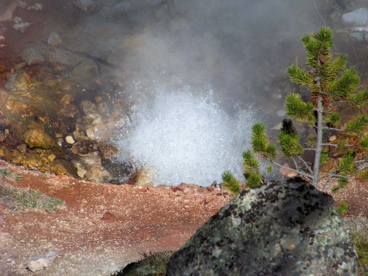 WerdFusion's tweet photo. Baby hot spring! #Yellowstone #Wyoming https://t.co/e5yWJlMaDV