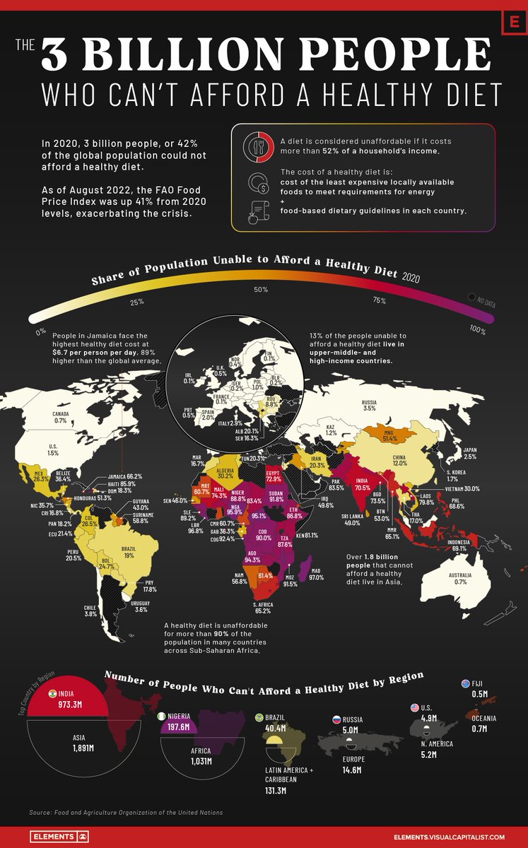 VCElements's tweet photo. Mapped: The 3 Billion People Who Can’t Afford a Healthy Diet 🥗

https://t.co/WVH3gnA5FV

#globalfoodcrisis #inflation #vcelements https://t.co/7zngnJ5WrN