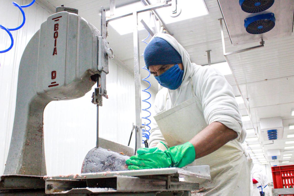 Venezuela comienza a consolidar el objetivo de autoabastecimiento y vamos con todo por la meta de exportación, todo, gracias al esfuerzo colectivo para consolidar las fuerzas productivas de la Patria en una ruta clara. ¡Producir es vencer y nosotros estamos venciendo!