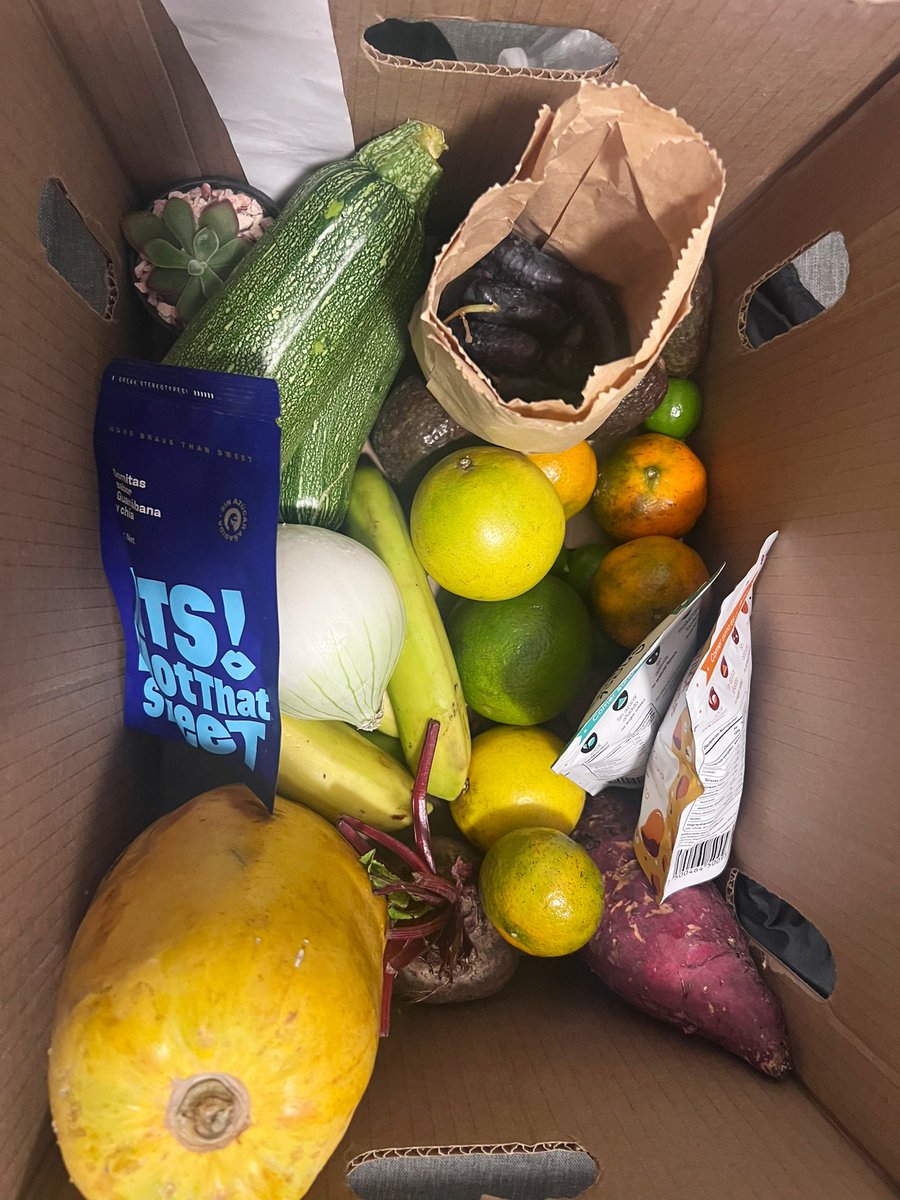 My new fave startup: <a href="/perfektomx/">Perfekto</a>

What a formidable experience, loved my box 💚

100p recommend 🧅🥬🍌🍊