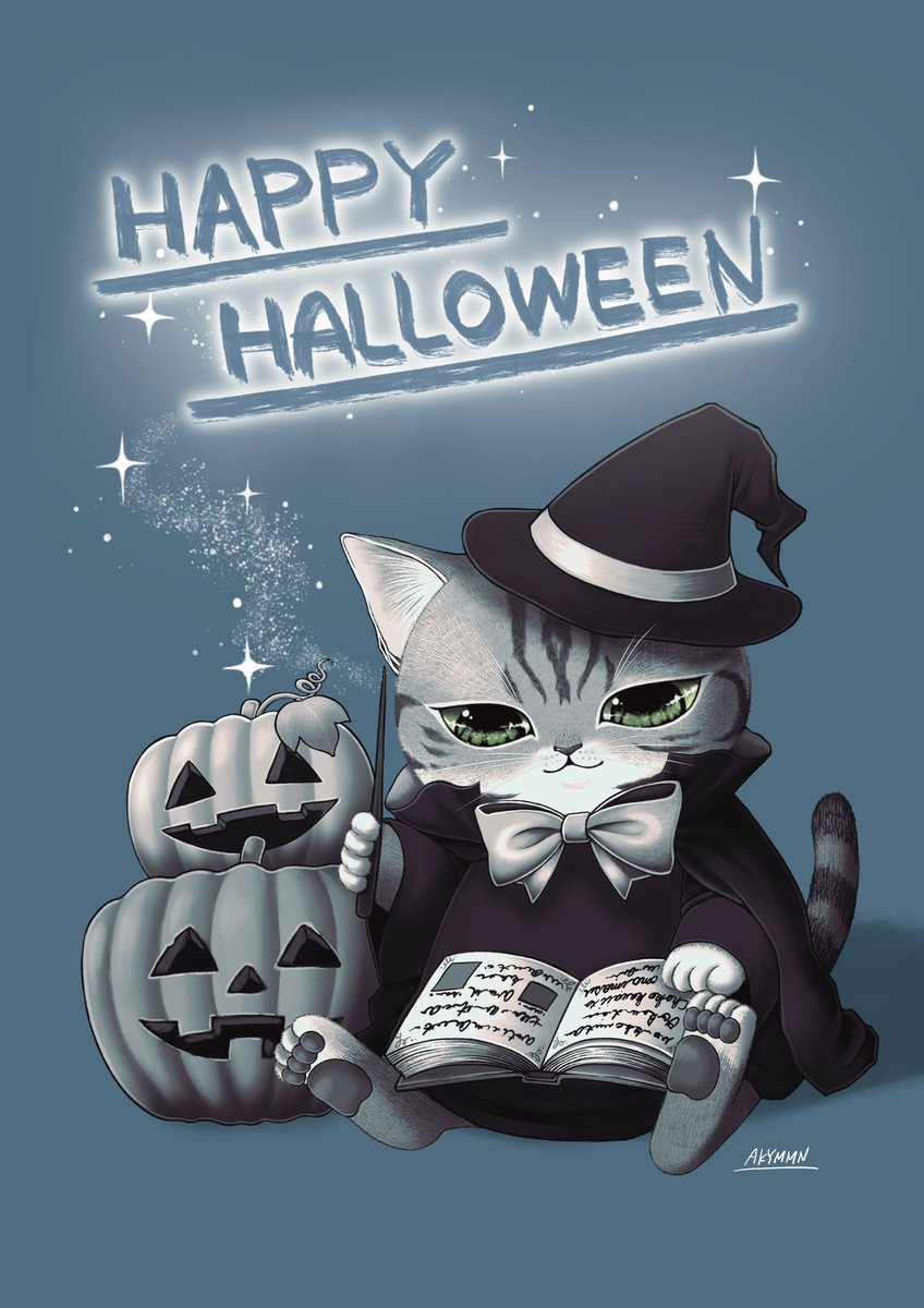 no humans hat cat witch hat book pumpkin jack-o'-lantern  illustration images