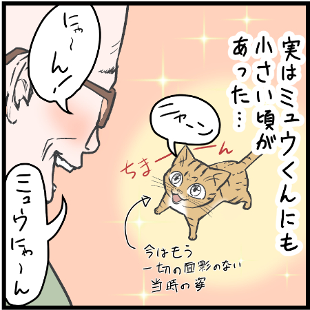 オマエも昔はこーんなに小さくてなぁ～
(親戚のおじさんの仕草で・・・)
 #ニャンコ #まんが #猫 #猫あるある #猫漫画 #ペット #飼い主 #エッセイ漫画 #キャット #猫のいる暮らし 