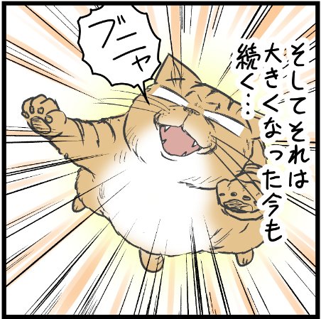 オマエも昔はこーんなに小さくてなぁ～
(親戚のおじさんの仕草で・・・)
 #ニャンコ #まんが #猫 #猫あるある #猫漫画 #ペット #飼い主 #エッセイ漫画 #キャット #猫のいる暮らし 