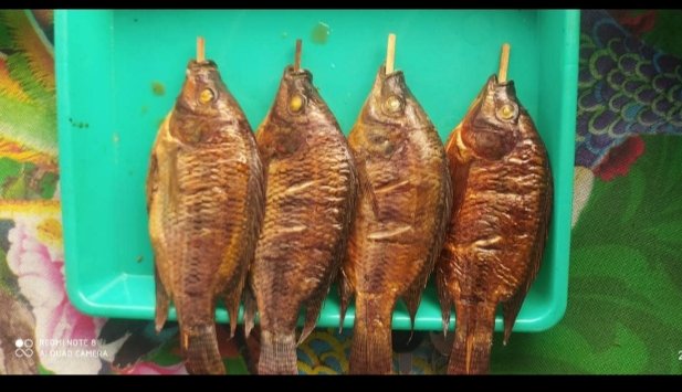 mistermis436's tweet photo. Beli ikan di Pasar masih segar langsung di olah Ikan Gurami Enak dimakan Disaat kita sedang istirahat
Ayo semua makan ikan..
Ikan membuat kita cerdas dan sehat

#weloveprobolinggo
#welovecitie
#MajenganBerlari
#KecamatanMayangan
#ikanairtawar https://t.co/hOm8kDJRE4