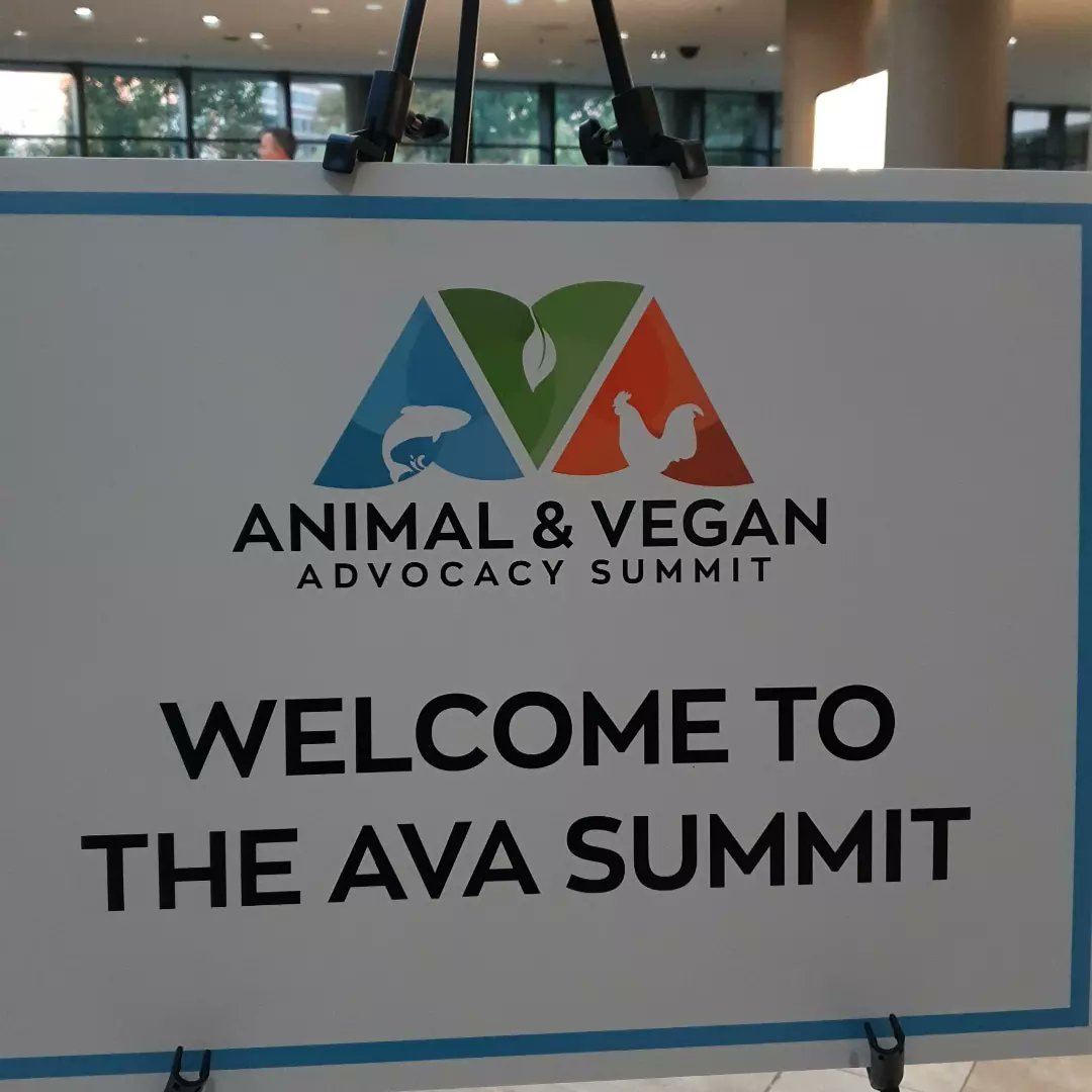 GlobisisAfrica's tweet photo. Nous avons dignement représenté l'Afrique de l'Ouest au #AVASummit !
Quelle fierté !!!
#GoVegan #Africa #PlantBasedTransition https://t.co/t4klXsafgQ