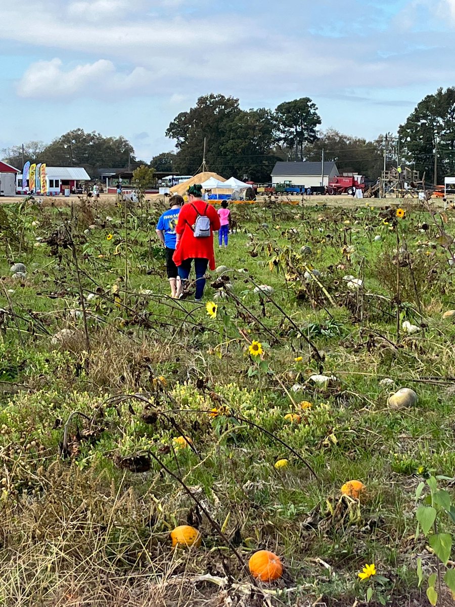 Happy National Pumpkin Day!! #HubbsFarmNC #pumpkinpatch #NCPumpkinPatch
