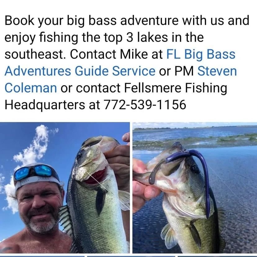 AmplifyNow's tweet photo. Contact FL Big Bass Adventures Guide Service for high-octane bass fishing charters #fellsmere #stickmarsh #centralFlorida
(302)-420-3900 https://t.co/fIXamcPsSF