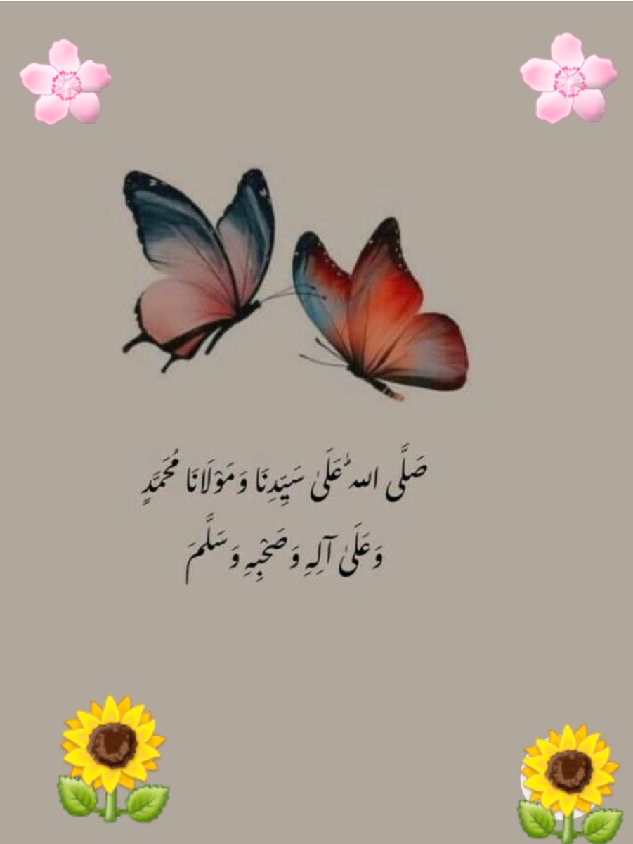 🕋اسلام علیکم و رحمت اللہ وبر کاتہ🕋 
🌺💗🌹🌸🌺صبح بخیر🌺