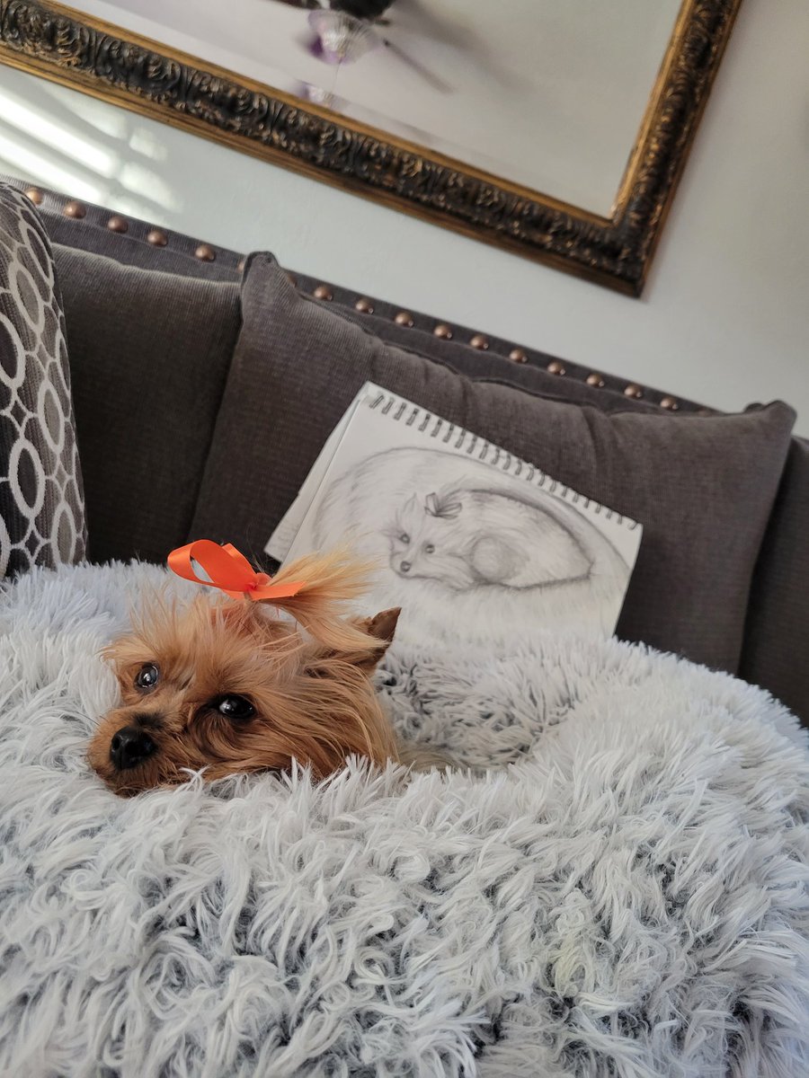 mdvinecreations's tweet photo. My mom's dog posing next to a little sketch I made of her 🥺🥰❤️ https://t.co/GzNj8Y148b