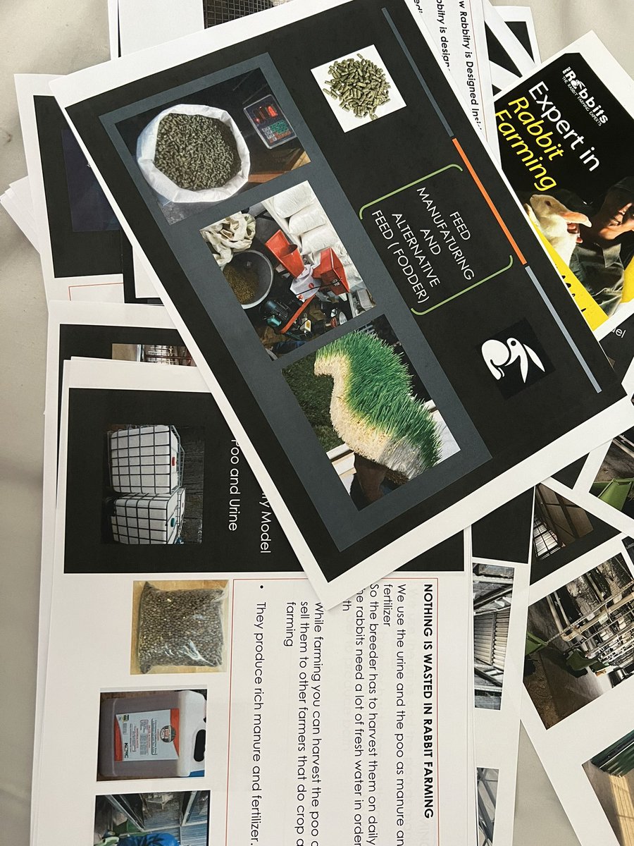 RPreneurs's tweet photo. Rabbitry Workshops &amp; Training preparations at Soweto Barnyard , we do weekly &amp; monthly workshops call us for more information 0817887984…#LetsFarmWithRabbits https://t.co/PIzi0zI334