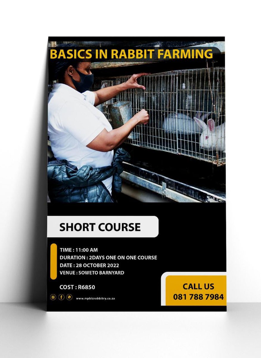 RPreneurs's tweet photo. Rabbitry Workshops &amp; Training preparations at Soweto Barnyard , we do weekly &amp; monthly workshops call us for more information 0817887984…#LetsFarmWithRabbits https://t.co/PIzi0zI334