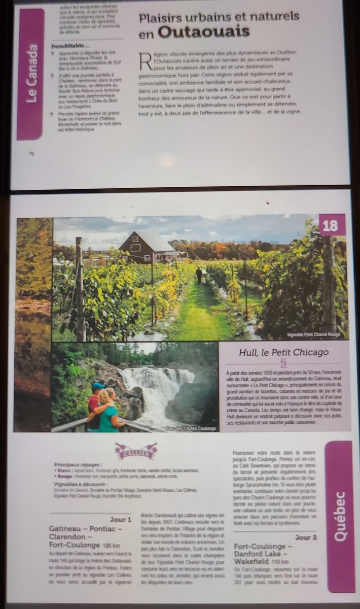 scott judd tweet media