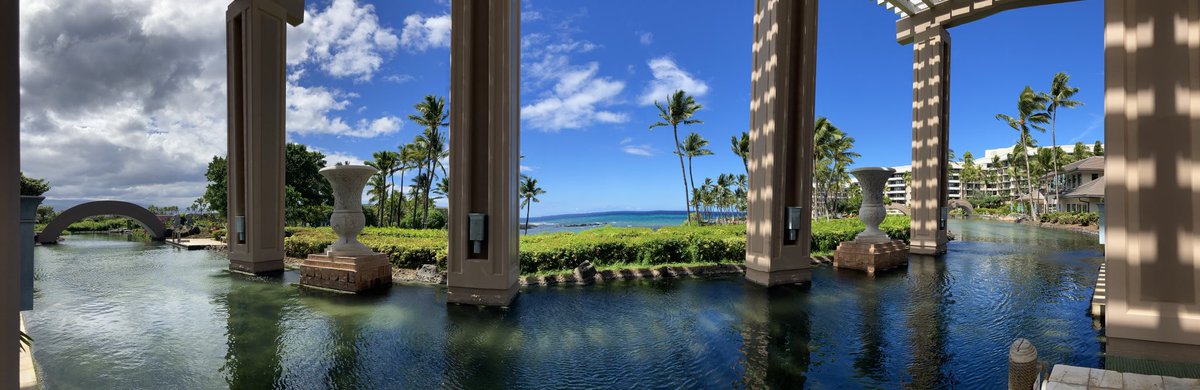 VisserLab's tweet image. Another week, another great conference!!
#SLB2022 
Looking forward to great leukocyte biology this week!!