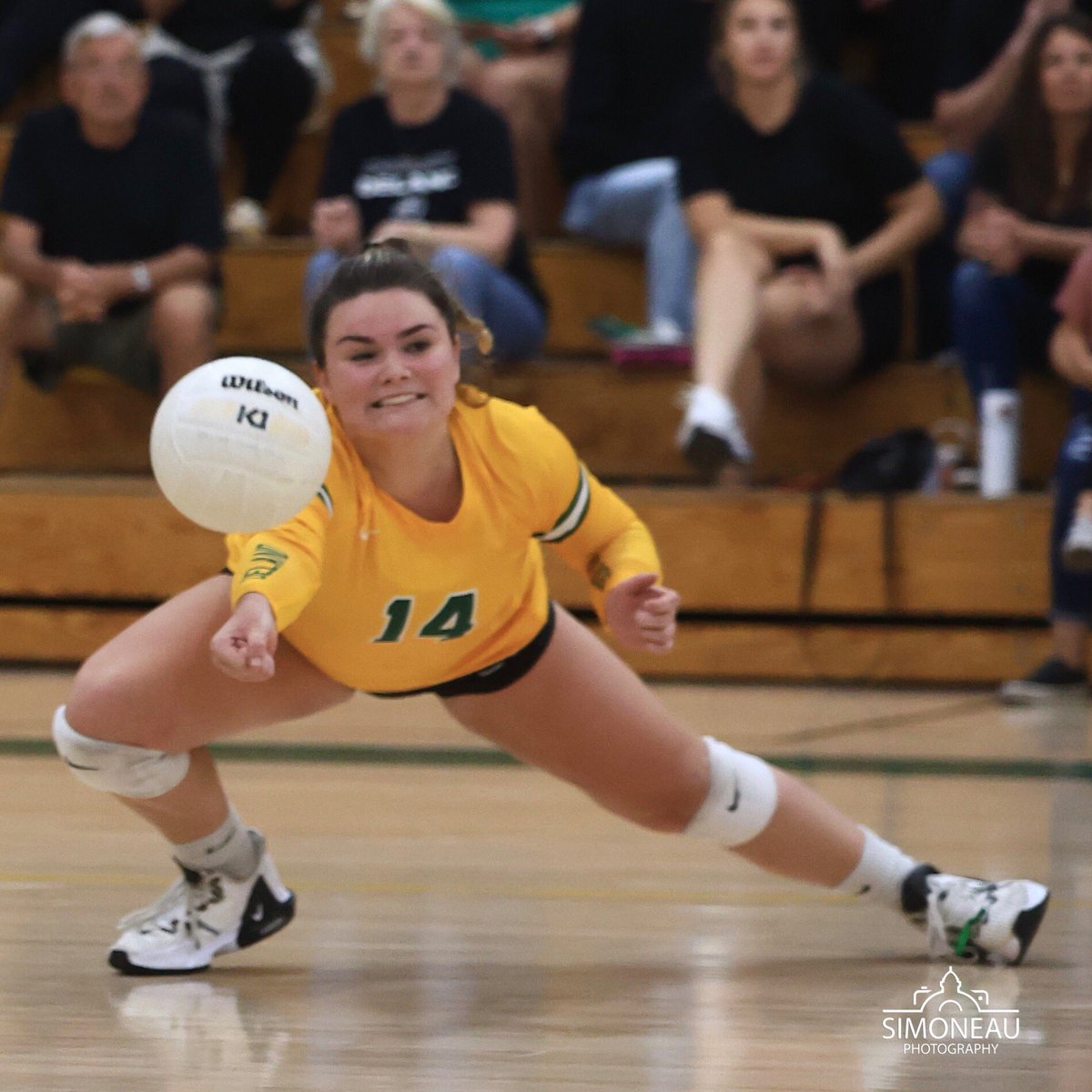 simoneauPhoto's tweet photo. The DHS volleyball team dig there way to the regional semi finals with a victory over Timber Creek High School. Go Bulldogs! #wearedeland @DeLandAthletics @dhsvolleyball_ @delandbulldogs @MrLuVCS https://t.co/Mhq1UDta2U