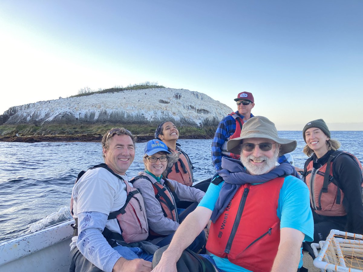 Another beautiful day, another beautiful site. Many thanks to @USCWrigley for supporting our research here on & around Catalina Island! #MARINe