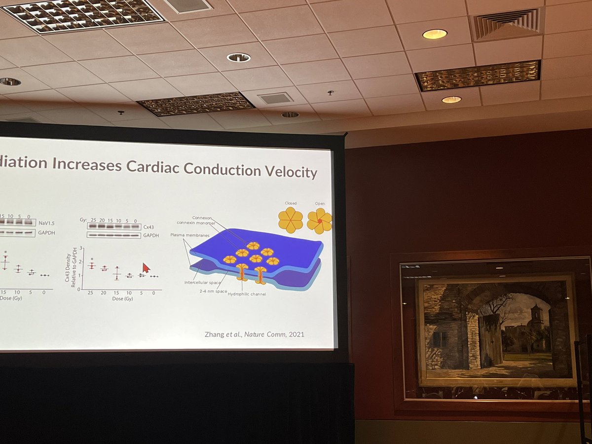 So great to have @SBRT_CR at #ASTRO22 to discuss the latest research in noninvasive cardiac radioablation and how the field continues to move forward!