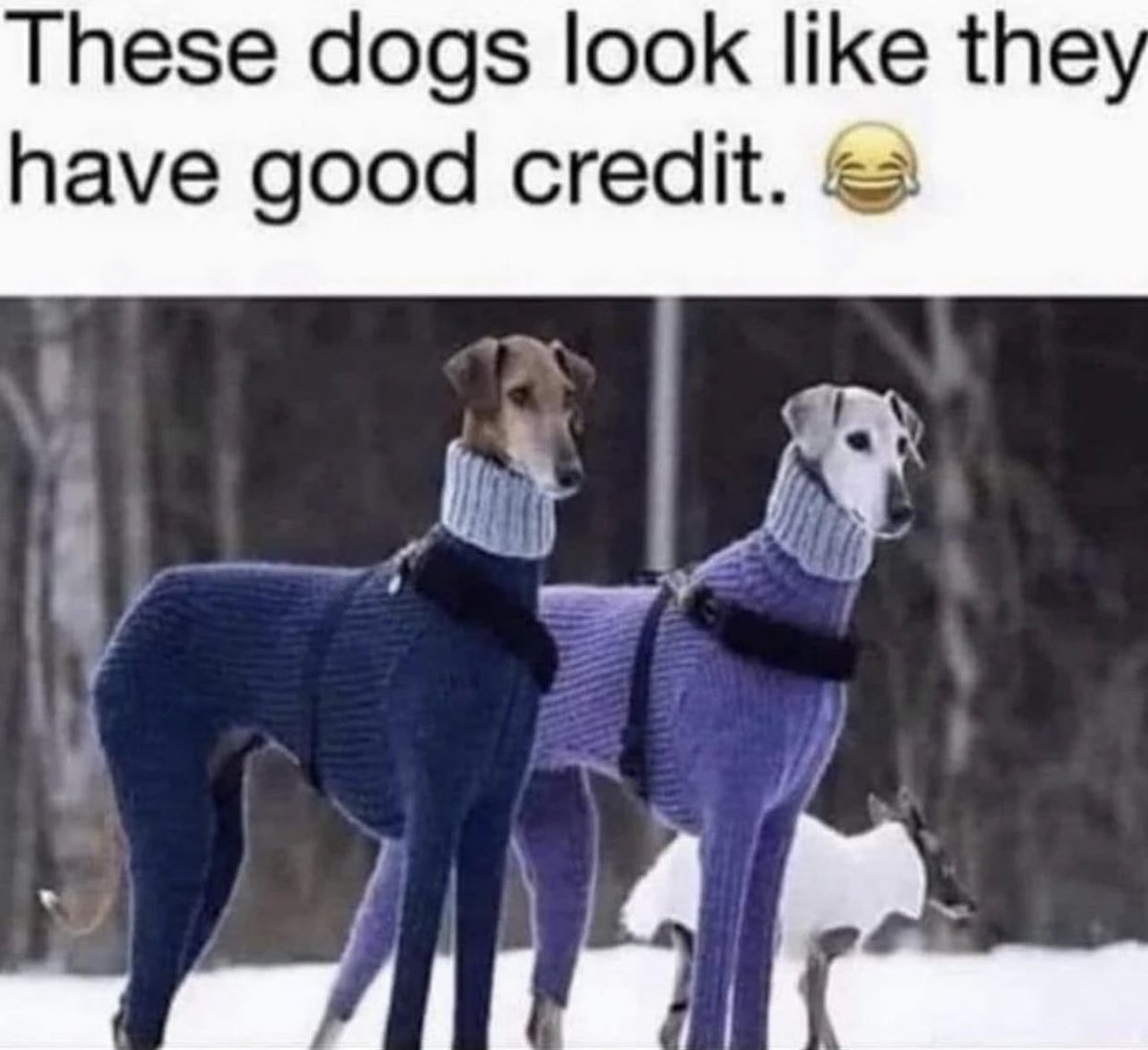 Earnest Pugh tweet media