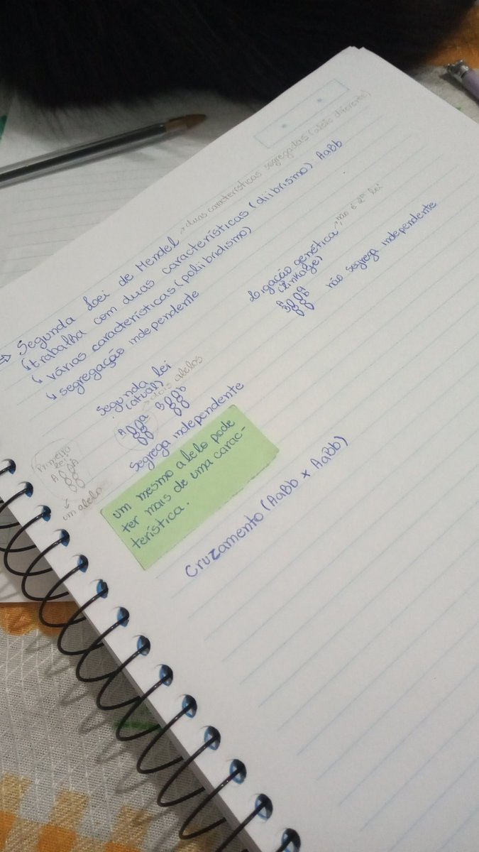 aalystudy's tweet photo. @Belmontnrr Verdade https://t.co/ATFn7eaYpI