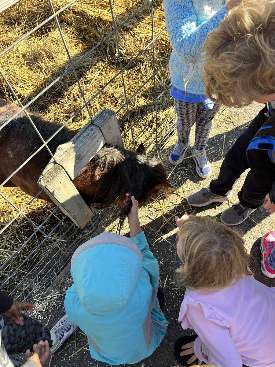 Nunzia Hoog tweet media