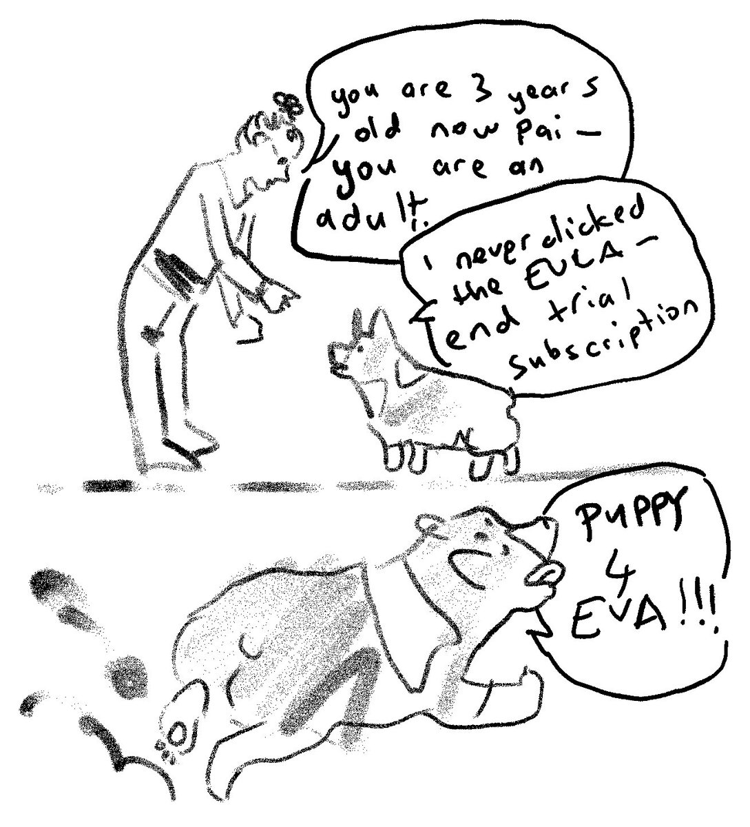 Mostly Dogs tweet media