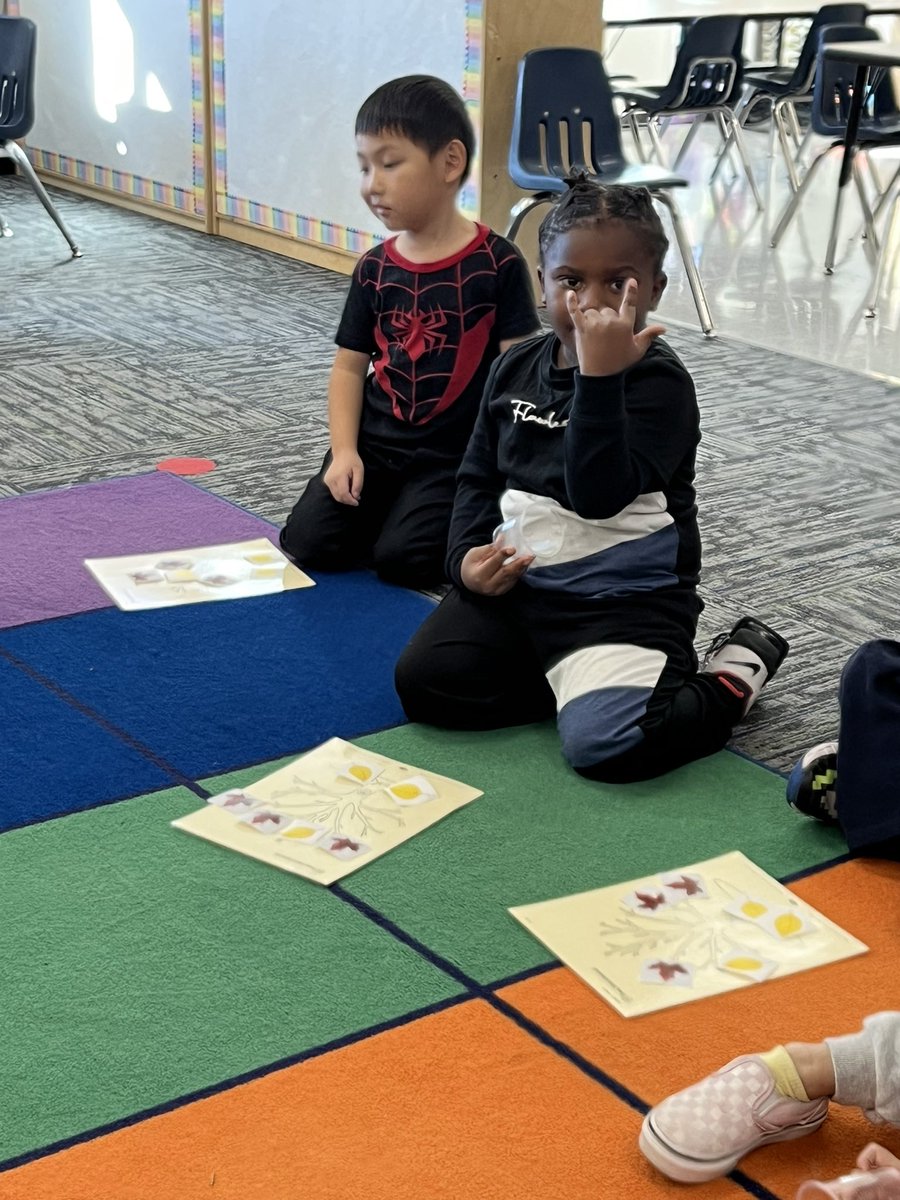 Kayla Hartman (@gckaylahartman) on Twitter photo Had so much fun in prek today practicing our listening, counting and story problem skills!! This hands on math lesson really had our scholars engaged and learning! <a href="/MLCmath/">Math Learning Center</a> <a href="/GCDolphins279/">Garden City</a> Had so much fun in prek today practicing our listening, counting and story problem skills!! This hands on math lesson really had our scholars engaged and learning! <a href="/MLCmath/">Math Learning Center</a> <a href="/GCDolphins279/">Garden City</a>
