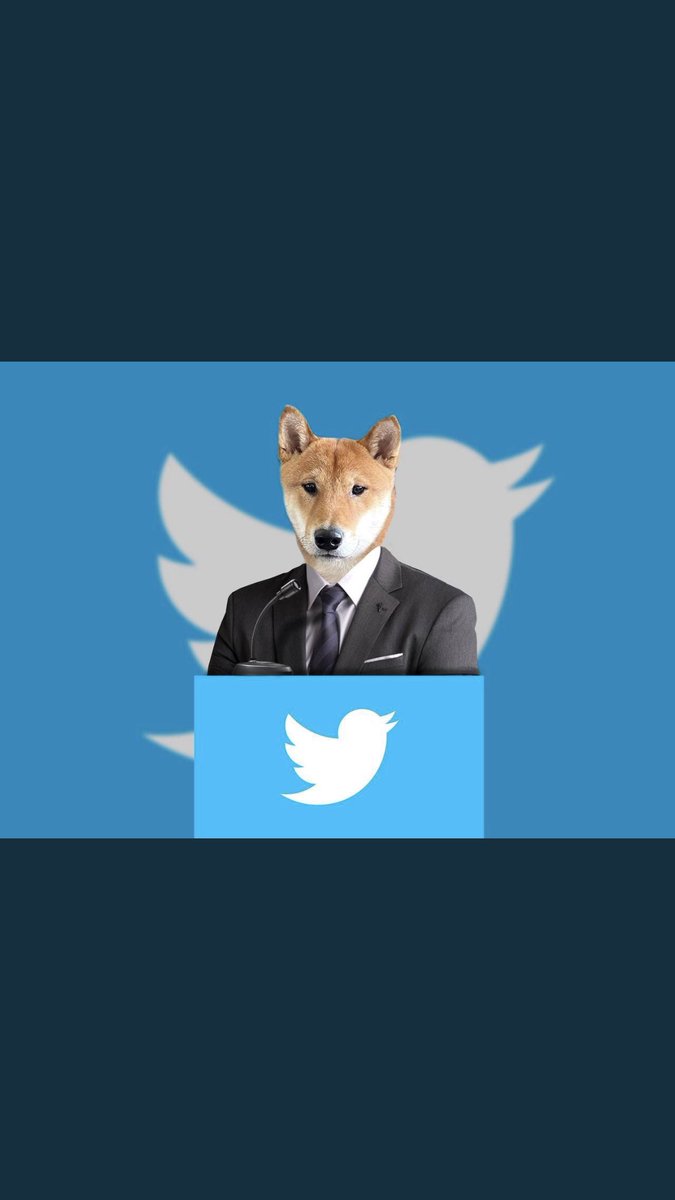 dingdong290's tweet photo. @BogusThought @elonmusk Get ready everyone the meeting will start at 9am #doge father @elonmusk will guide for the glory of @Twitter 💪🤣 https://t.co/ZWbu1Gxtdf