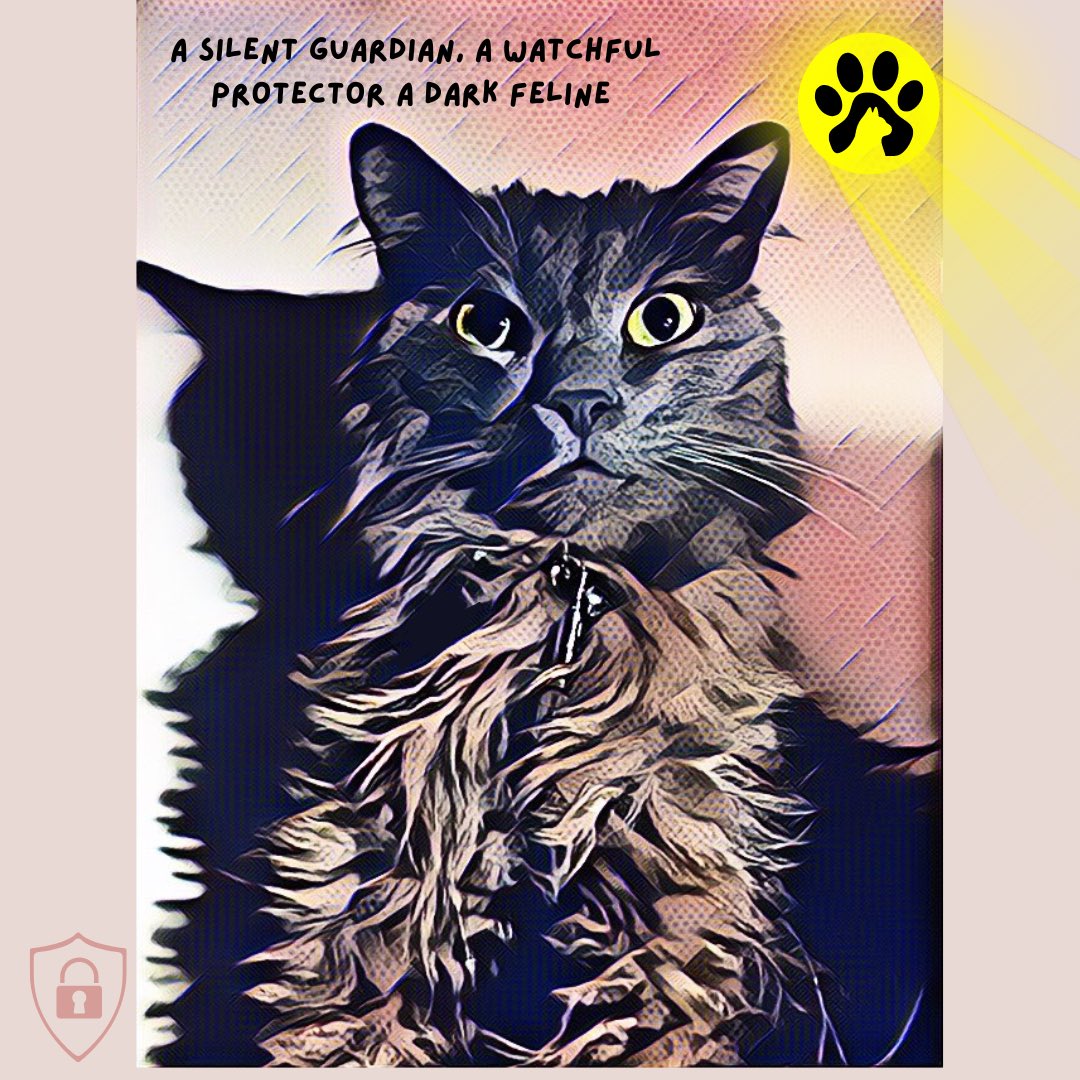 The mastermind behind the operation. Bat cat keeping Web3 safe by making sure the humans are awake in the morning, have warm keyboards and a furry friend. Keep your kitties warm and your admins cold.