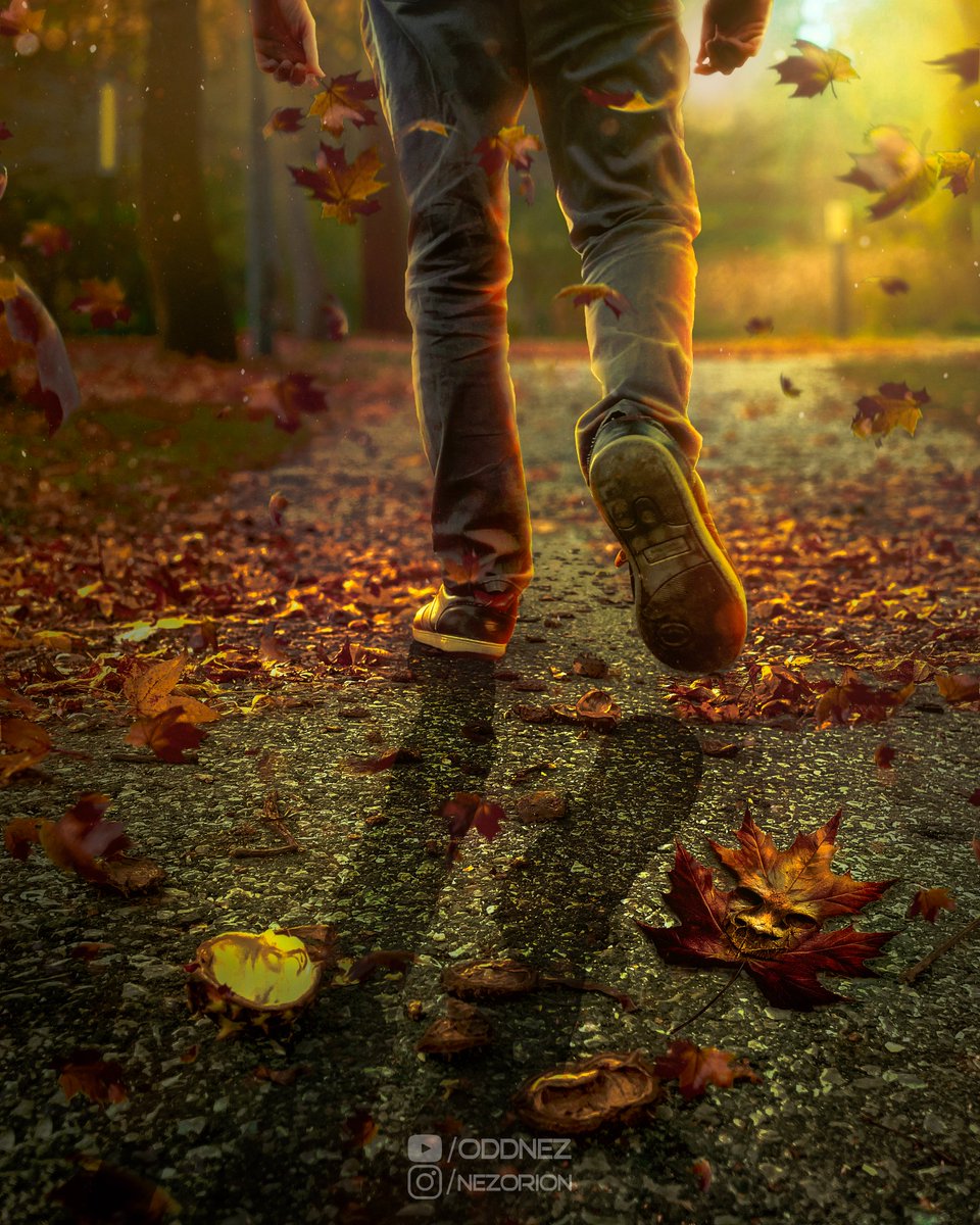 Nez_Orion's tweet photo. Autumn leaves are falling down.

#FallLeaves #Leaf #KillerLeaf #AutumnLeave #OddNez https://t.co/FwbOtoiPIa
