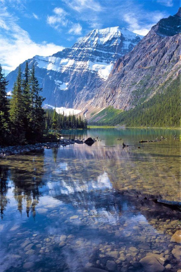 helena_mar19's tweet image. Good morning, have a wonderful day 🦋

Canada