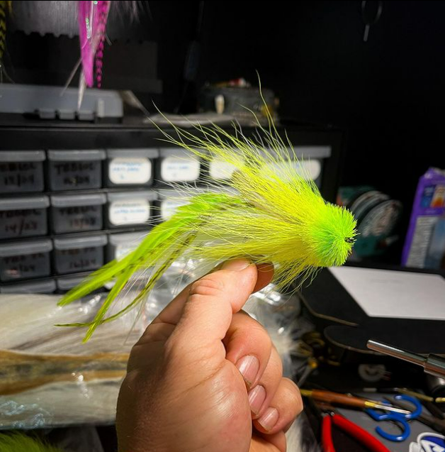 ZZ_Troutski's tweet photo. A key lime Buford, Saltwater Dessert
@317.flies
4/0 7” Lemon Lime Buford Single
*
#streamer #streamerjunkie #bucktail #buford #bufordsingle #muskytown #muskyfool #midwestbucktails #dynakingvise #flytyingphotography #muskyfly #pikefly #predatorfly #bassfly #317flies https://t.co/hadlPb6JfM