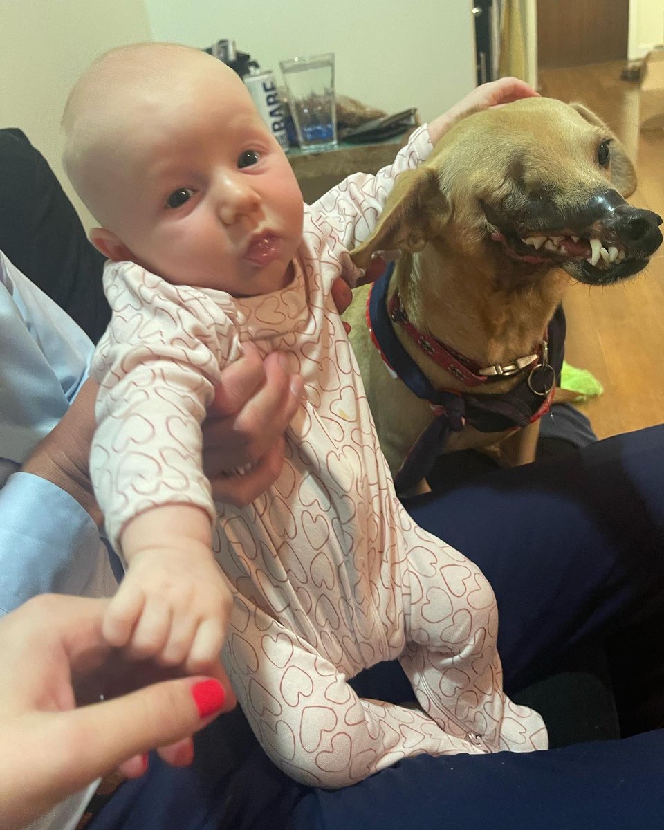 Haddie and I met my niece yesterday 🥰🥰🥰