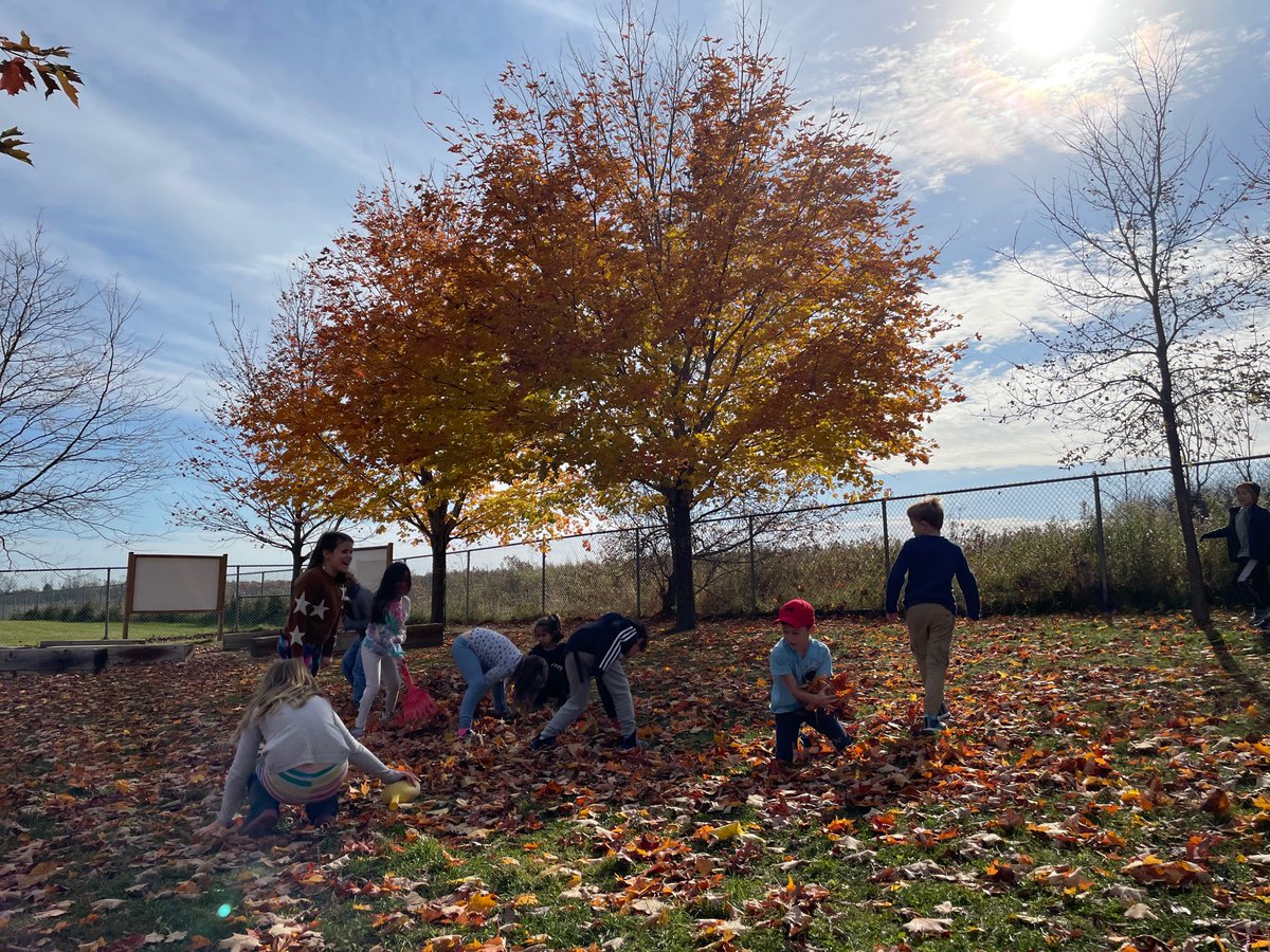 MmeDielle's tweet photo. Cooperation in the primary yard / gros projet de collaboration dans la cours primaire @StIsidoreOCSB @OttCatholicSB #ocsbGrateful https://t.co/1rVJojP0H7