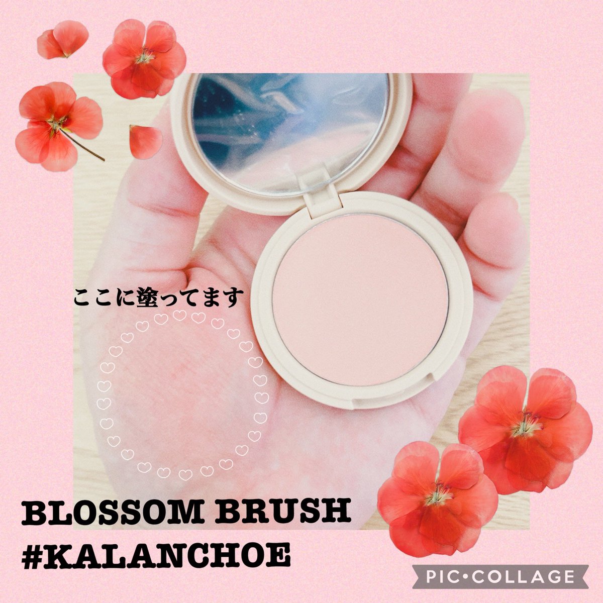 Shiho53993100's tweet photo. CILY様より💐𓂃 𓈒𓏸
リップ＆チークの素敵なセットを頂きました🙌🏻💕

大人気、韓国モデルのテリちゃんプロデュースのアイテムです🇰🇷´-
世界中のコスメを体験してきたテリちゃんが追求した、なりたいあなたを叶えるための、あなたらしく使えるコスメをコンセプトにしています⸜💡⸝

#Shihoの当選記録 https://t.co/jFkxS7PsDe