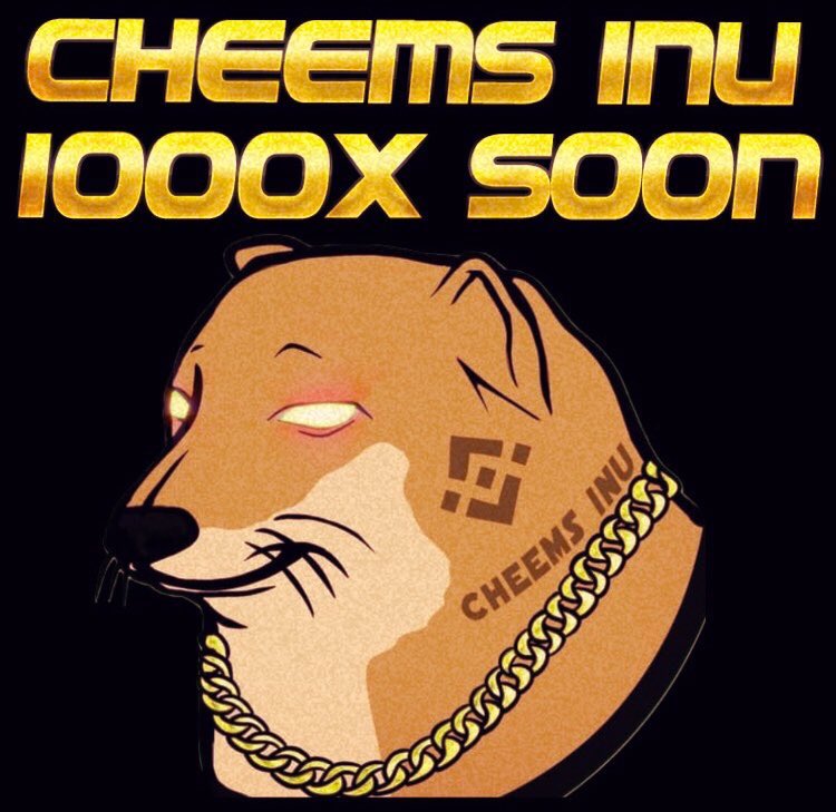 lambosoonexpert's tweet photo. #CheemsInu 1000x incoming 👀📶 https://t.co/rLqmuuZQW6