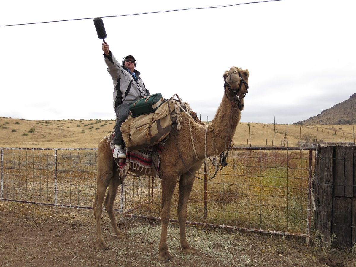 Wade Goodwyn tweet media