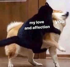GloriousDoggos's tweet photo. Dog meme break. We needed it.  #GloriousDoggos https://t.co/SglVVF11Iu