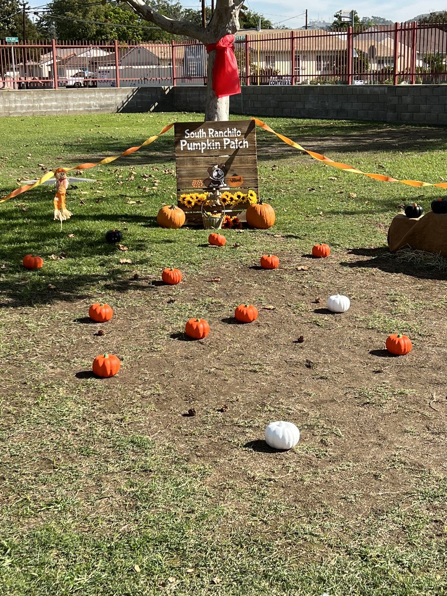 SouthRanchito's tweet photo. It was a fun day celebrating with some our favorite little pumpkins at South Ranchito DLA. Our SpecialEd team is the BEST making sure our students have a great experience! 🎃 @ElRanchoSchools https://t.co/TyDW5b70BC