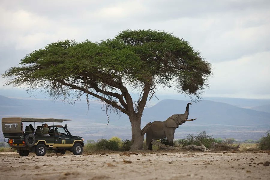 KakyTravel's tweet photo. Elewana Tortilis Camp - A splendid safari camp set against the majestic backdrop of Mt. Kilimanjaro in Amboseli National Park
Road & Flying Safari Packages are available
Contact: +254799733829 / info@kakytravel.com
#kakytravel #kakysafaris #elewanacollection #magicalkenya🇰🇪 https://t.co/u9aFKjtXhh