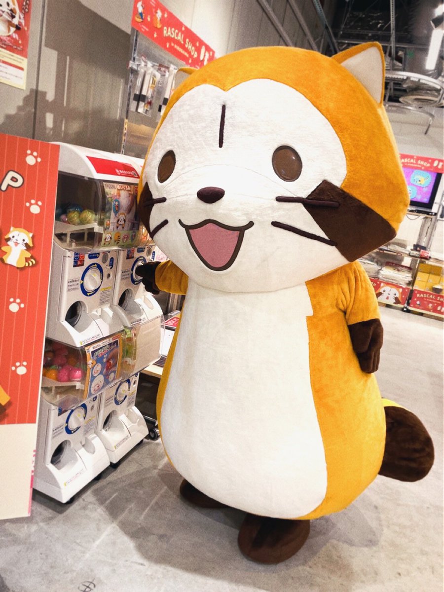 Rascal_Shippo's tweet image. ラスカルのお買い物(おまけ)

たくさんお買い物した後は、カプセルトイをまわしていたよ💫
みんなもお気に入りのラスカルをゲットしてね！
＊カプセルは在庫により写真と異なる場合があります。
＊カプセルはノベルティプレゼントの対象外です。

ラスカルショップ in広島は最終日まであと４日！